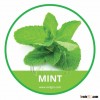 HIGH QUALITY FRESH MINT // MINT LEAVES // MENTHA