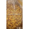Frozen High Protein Nutrition Silkworm Cocoon