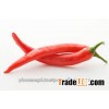 2015 Viet Nam Fresh Hot Chili