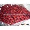 2014 new corp Schisandra fruit seeds