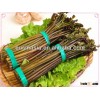 salted bracken(warabi)