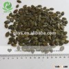 organic Chinese pumpkin seed kernels GWS A