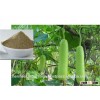 Bottle Gourd Powder