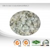 Fish Scale Collagen Extract Powder : Odorless : Food supplement ingredient for Anti-aging, Collagen