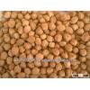 kabuli chana Chickpeas