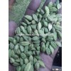 BULK LOOSE GREEN EXTRA BOLD CARDAMOM
