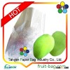 Mango growing bag/growing bag for Mango