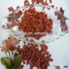 2013 new crop chinese goji dired berry top quality ningxia goji