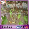 high quality PE Vegetable Trellis nets&Plant support net
