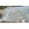 Anti-Insect Net-120GSM White with UV for Green House