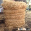 coconut husk fiber