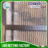 100% virgin plastic anti insect net anti hail net
