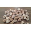 baobab sweet seeds factory, baobab supplier