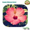 100% Natural Organic Hibiscus P.E.