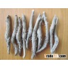 Teak Rhizome - Small - Teak wood / Seeds / Seedlings