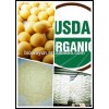 Certified organic Soy protein
