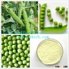 Pea protein