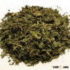 Urtica Dioica Folia Supply