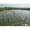2014 Pond Cleaning for Aquaculture of Shrimp, Crab, Sea Cucumber, etc.