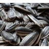 Chinese Best Price for Sunflower seeds New crop