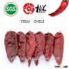 chinese hot sale chili/ peper