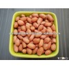 Peanuts Bold 40/50 red skin kernel