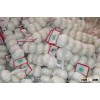 2016 Chinese high quality fresh garlic price Pure White Garlic alho fresh garlic