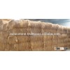 Vietnam coconut fiber