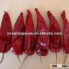 China Dried Chilli