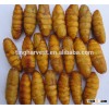 human food Frozen silkworm pupae