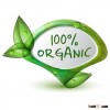 100 % organic psyllium