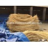 Rattan raw material