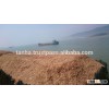 VIET NAM ACACIA WOOD CHIP BEST QUALITY FO MAKING PAPER, MDF