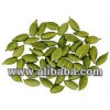 GREEN CARDAMOM