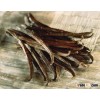 Ugandan Vanilla Beans
