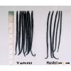 Vanilla Beans, High Quality