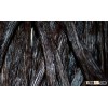 Organic Vanilla Beans