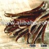 Organic Vanilla