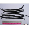 Vanilla Beans