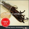 vanilla beans wholesale
