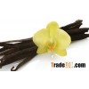 organic vanilla beans