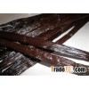 Vanilla Beans 14 cm - 17 cm