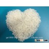 Medium Grain California Calrose Rice(New Crop)