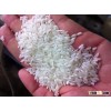 504 White Rice 5% Broken Export standard