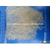 short grain round rice