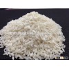 Fresh IR 8 Short Grain Raw Rice