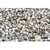 COIXSEED( Pearl Barley)