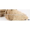 QUALITY feed barley For Animal Feed and Human Consumption FOR SALE