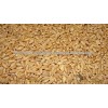 High Quality Pearl Barley / Hulled Barley / Barley Malt