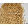 Australia pearl barley for malting beer barley
